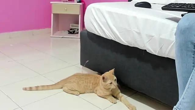  candy jade  online show from January 15, 2026, 10:42 am