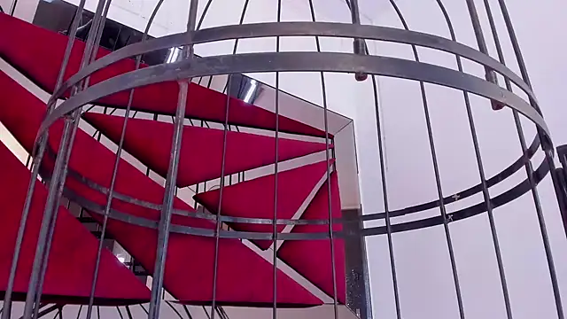 GiaFu online show from January 25, 2025, 9:14 pm