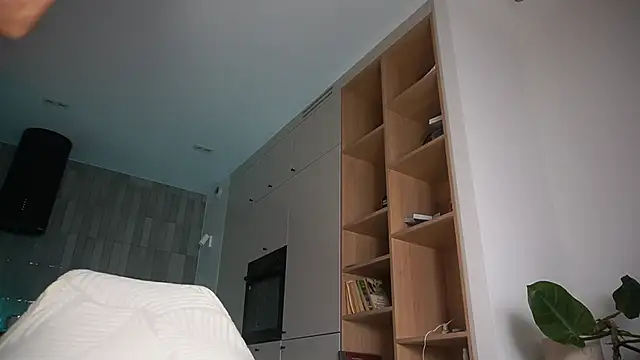 DreamSofia online show from October 11, 2025, 9:19 am