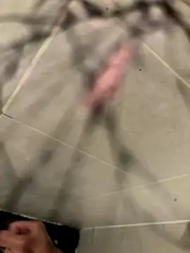 lescro95  online show from December 2, 2025, 5:41 pm