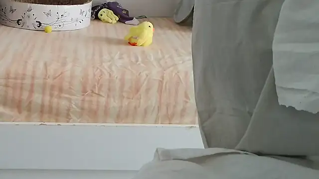 VeneRed online show from September 9, 2025, 8:47 am