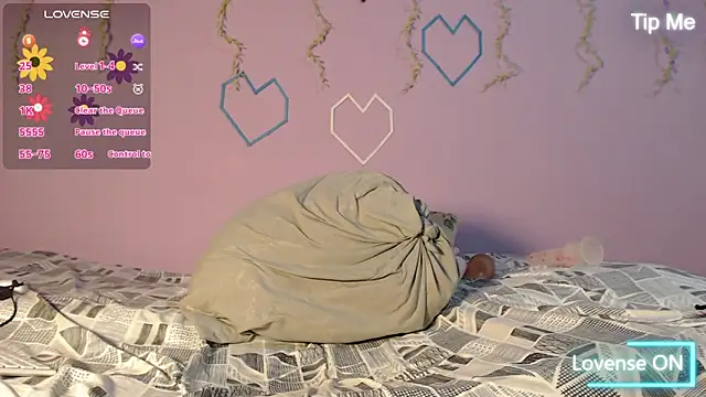 Dante Bear  online show from February 13, 2026, 11:17 am