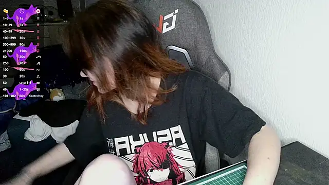 Snapshot of crashtest_13 chatting on February 2, 2025, 12:46 pm crashtest 13 online show from February 2, 2025, 12:46 pm