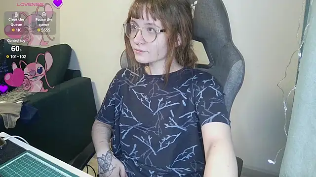 Snapshot of crashtest_13 chatting on February 20, 2025, 3:19 pm crashtest 13 online show from February 20, 2025, 3:19 pm