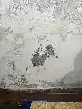 MaaliiiPonuTamil online show from February 4, 2025, 3:36 pm