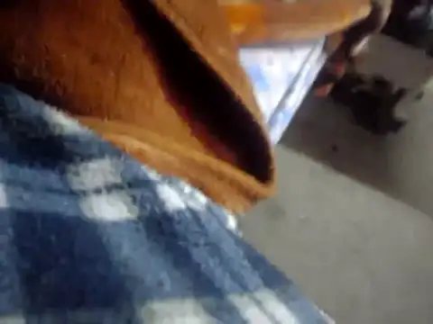 licalo56 online show from January 12, 2026, 11:10 pm