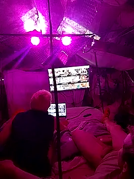 cockringkelley97 online show from April 12, 2026, 6:18 am