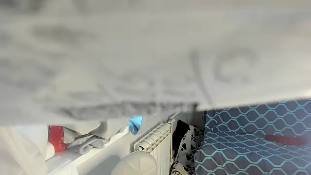 elis gabbi online show from September 23, 2025, 4:59 am