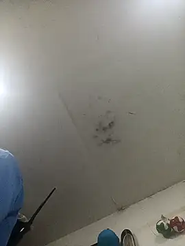 jeremiabello online show from February 14, 2025, 1:02 am