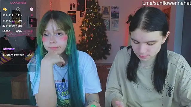 812sunflowerinahat online show from December 15, 2024, 9:03 am