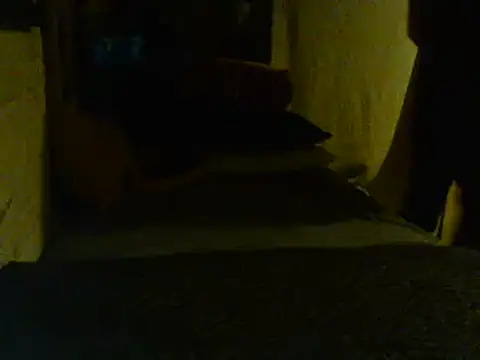 Gman143187 online show from February 2, 2025, 9:08 am