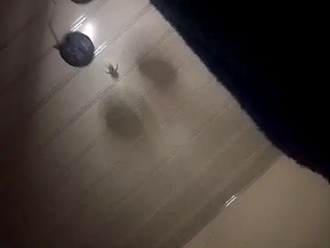 Snapshot of giuliana_andrade chatting on December 7, 2024, 3:36 am giuliana andrade online show from December 7, 2024, 3:36 am