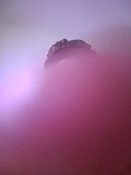 Snapshot of giuliana_andrade chatting on January 22, 2025, 10:59 pm giuliana andrade online show from January 22, 2025, 10:59 pm