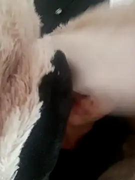 Snapshot of giuliana_andrade chatting on February 19, 2025, 9:28 am giuliana andrade online show from February 19, 2025, 9:28 am