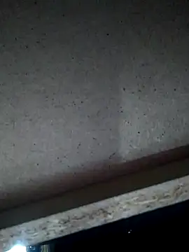 Leocesar37 online show from November 15, 2025, 4:54 am