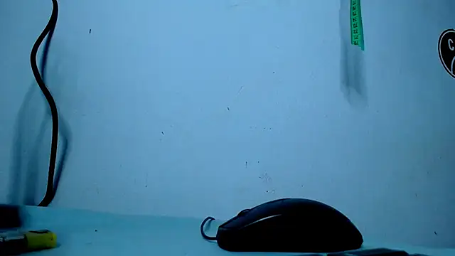 freddy romas online show from February 8, 2025, 3:52 am