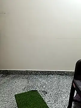 Snapshot of Saroj-Shah chatting on April 1, 2026, 6:14 am Saroj-Shah online show from April 1, 2026, 6:14 am