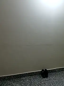 Snapshot of Saroj-Shah chatting on April 2, 2026, 3:37 am Saroj-Shah online show from April 2, 2026, 3:37 am