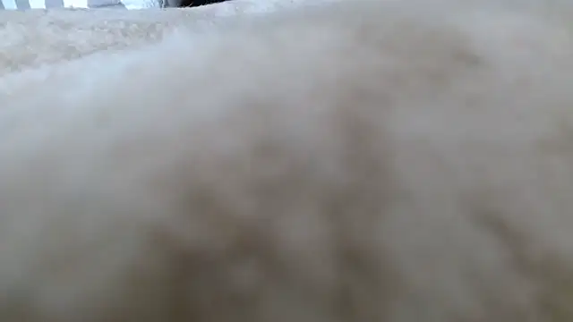 Heracles00 online show from October 13, 2025, 12:49 pm