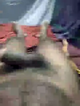 mallucallboy2104 online show from January 3, 2025, 8:32 pm