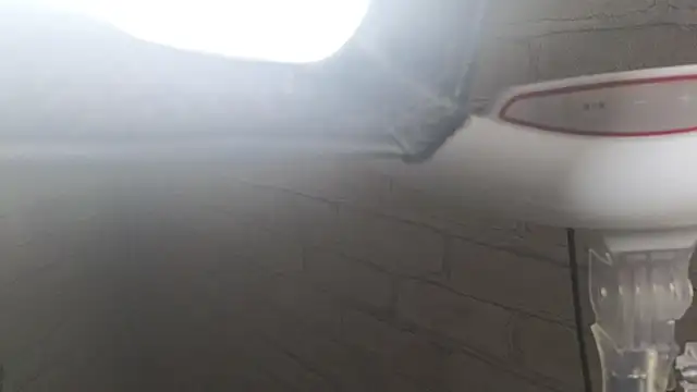 Nika Kitten online show from January 12, 2026, 9:58 am