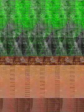 tncute callboyi online show from October 3, 2025, 4:04 pm