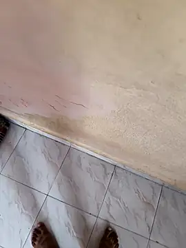 tncute callboyi online show from October 4, 2025, 5:05 am