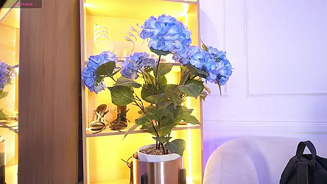 elasummer online show from December 20, 2025, 12:12 pm