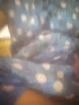 jessi telugu online show from December 5, 2024, 12:33 pm