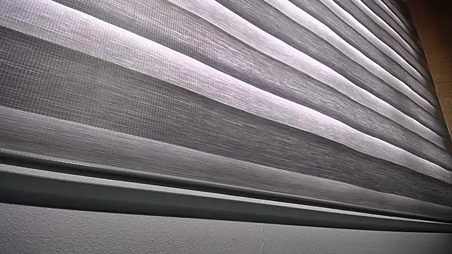 palmer mIix online show from December 23, 2024, 1:03 pm