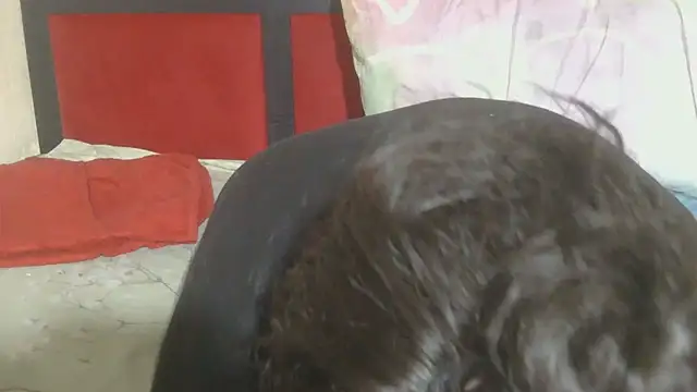 MaximTease24 online show from June 12, 2026, 10:41 pm