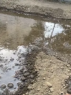 satrr xxx online show from October 10, 2025, 10:14 am