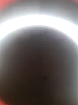 Snapshot of lolimirass24 chatting on December 22, 2024, 2:49 am lolimirass24 online show from December 22, 2024, 2:49 am