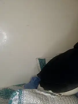 Snapshot of lolimirass24 chatting on January 11, 2025, 10:51 am lolimirass24 online show from January 11, 2025, 10:51 am