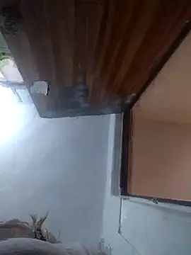 iDogrose21 online show from December 15, 2025, 3:38 pm