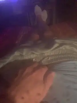 solomec online show from October 13, 2025, 8:42 pm