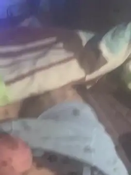 solomec online show from November 19, 2025, 6:35 am