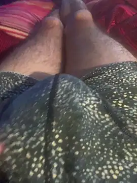 solomec online show from December 20, 2025, 7:37 am