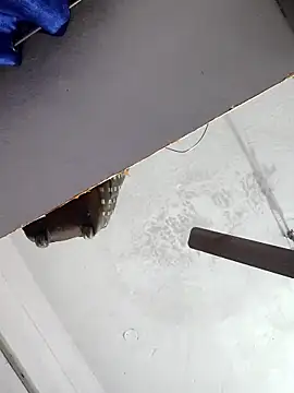 sana14 online show from December 17, 2025, 10:49 pm