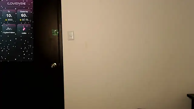 julz 03 online show from December 13, 2024, 9:20 pm