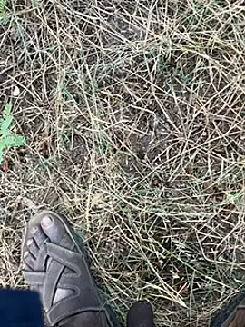 tamil000000 online show from March 11, 2025, 1:37 am