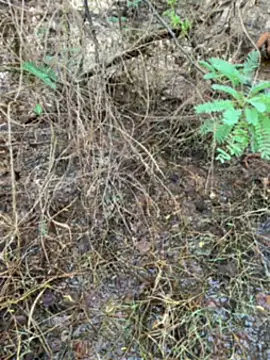 tamil000000 online show from March 14, 2025, 1:27 am