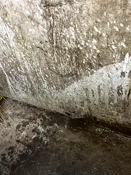 tamil000000 online show from January 12, 2026, 1:05 pm