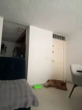 Snapshot of ariiel_ chatting on March 19, 2025, 8:22 pm ariiel online show from March 19, 2025, 8:22 pm