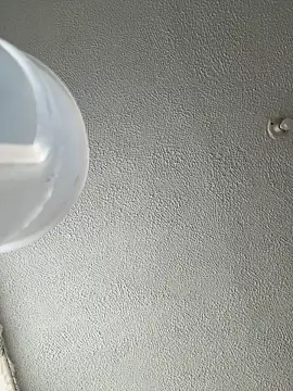 ariiel  online show from January 14, 2026, 3:28 pm