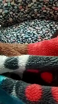 houda sex hot online show from February 28, 2025, 11:12 pm