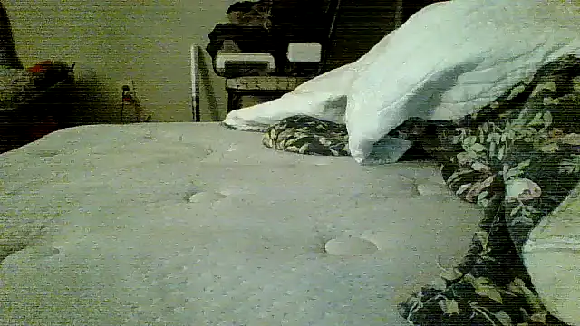 Jay81 online show from January 19, 2026, 3:21 am