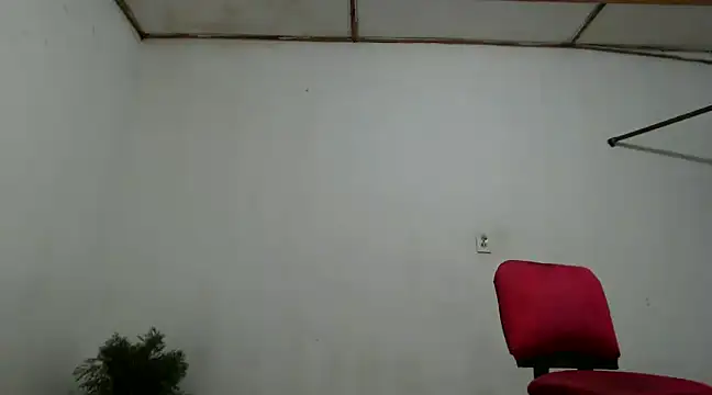 fernandez latinblackk online show from December 4, 2024, 11:02 pm