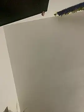 RicarBer online show from April 26, 2026, 9:34 pm