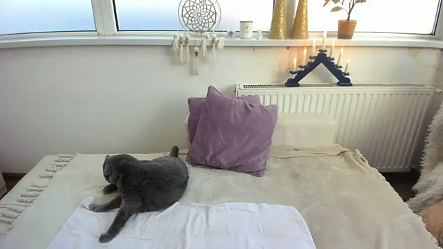 Snapshot of Arya_Shinex chatting on January 9, 2025, 8:13 am Arya Shinex online show from January 9, 2025, 8:13 am